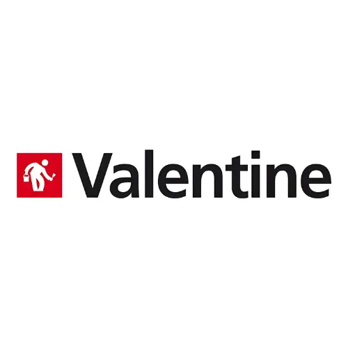 Logo Pintura Valentine